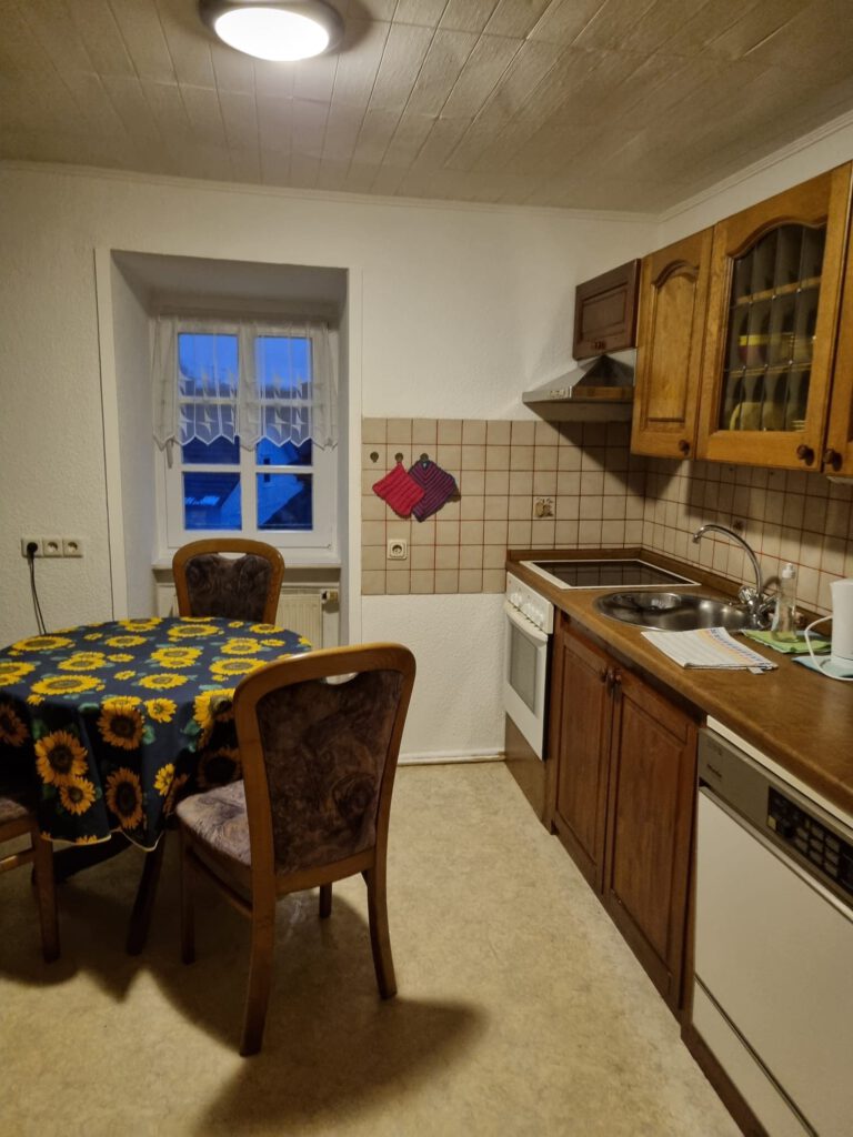 Monteur-Apartment - Küche